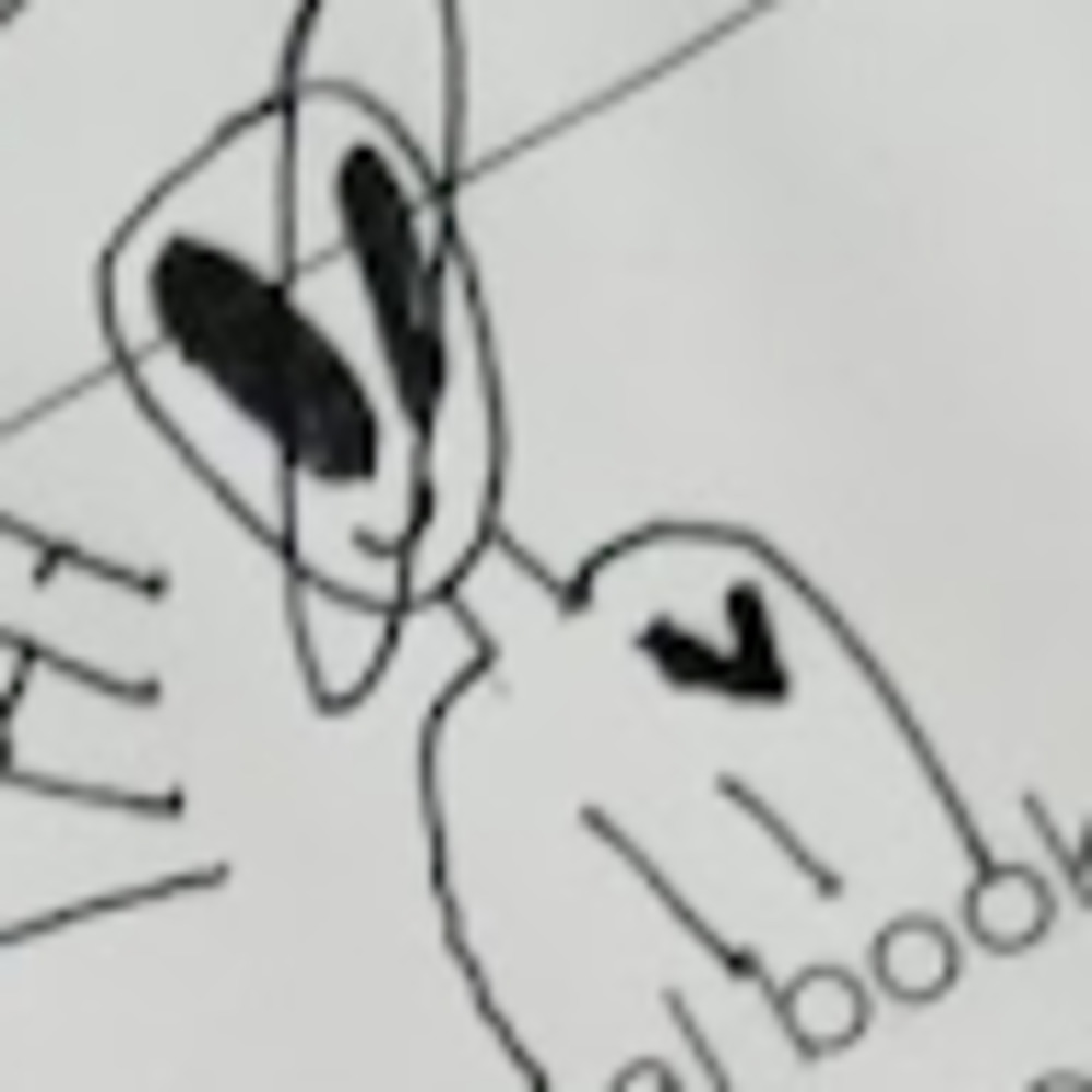 Meet your Posher, Anthony